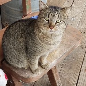 Meet your Posher, Julie